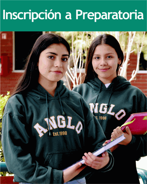 Odoo - Prueba 3 a tres columnas