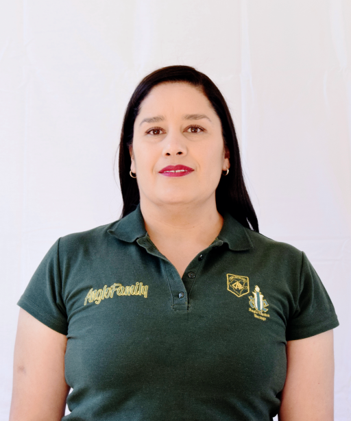 Equipo de la empresa